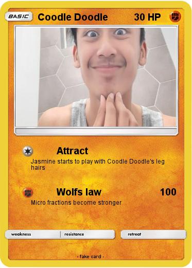 Pokemon Coodle Doodle