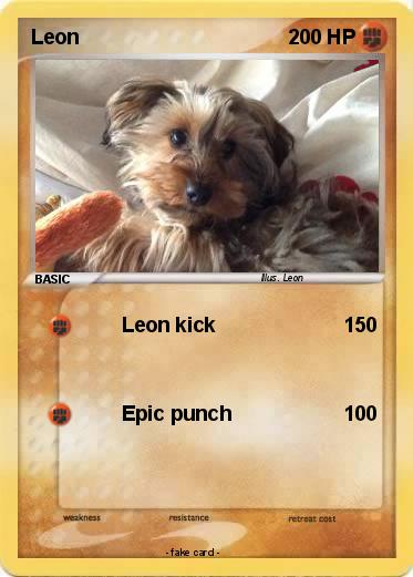 Pokemon Leon