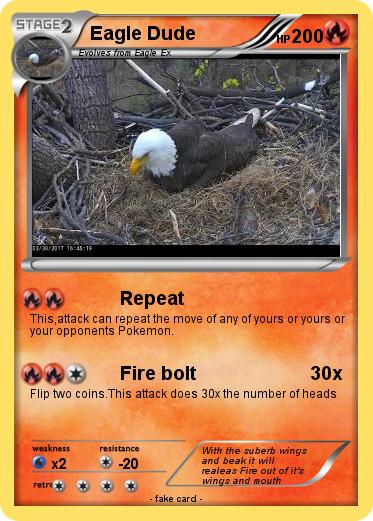 Pokemon Eagle Dude