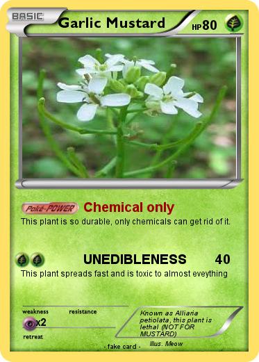 Pokemon Garlic Mustard