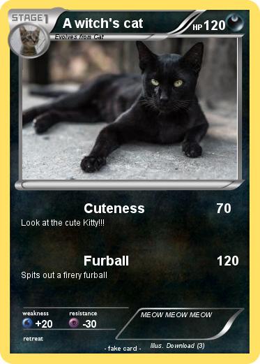 Pokemon A witch's cat