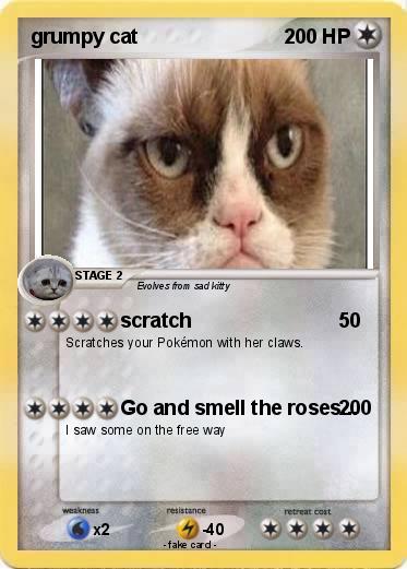 Pokemon grumpy cat