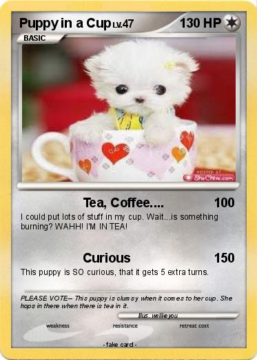 Pokemon Puppy in a Cup