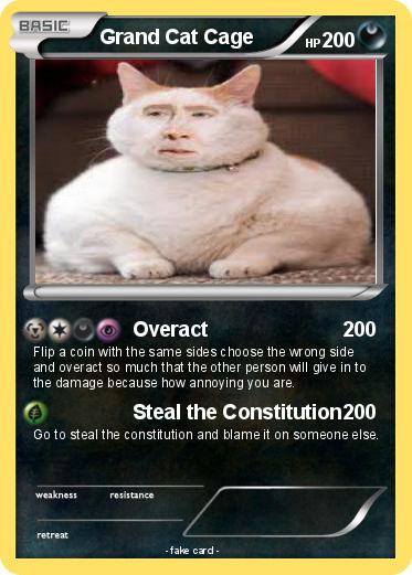 Pokemon Grand Cat Cage