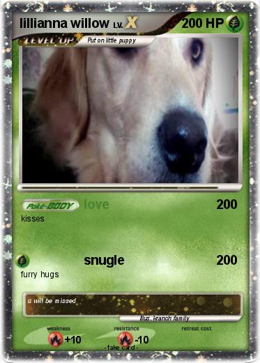 Pokemon lillianna willow