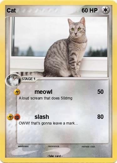 Pokemon Cat