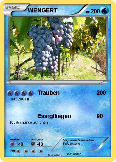 Pokemon WENGERT