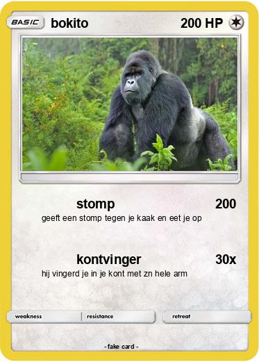 Pokemon bokito