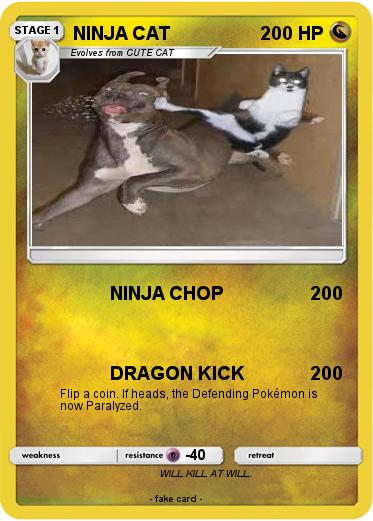 Pokemon NINJA CAT