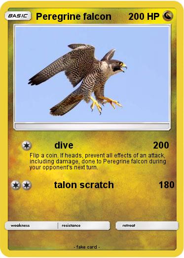 Pokemon Peregrine falcon
