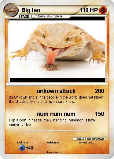 Pokemon Big leo