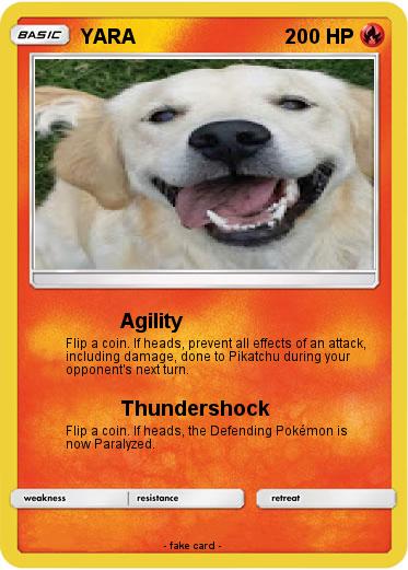 Pokemon YARA