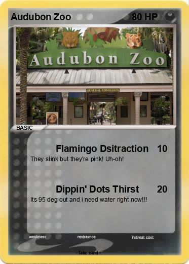 Pokemon Audubon Zoo