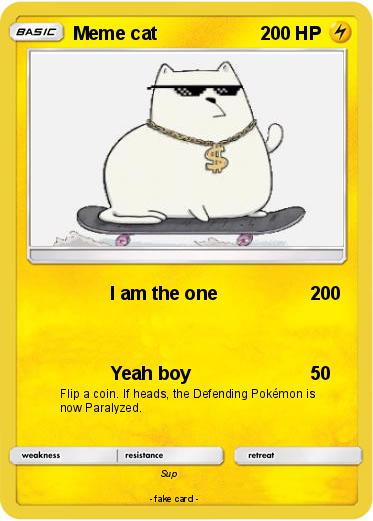 Pokemon Meme cat