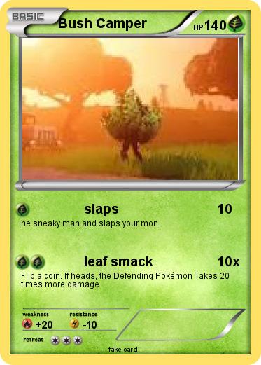 Pokemon Bush Camper
