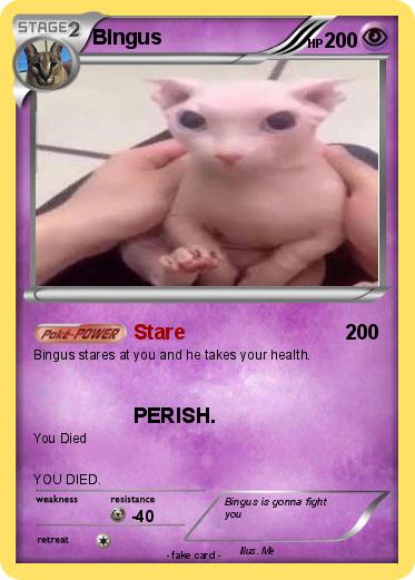 Pokemon BIngus