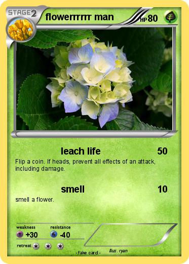 Pokemon flowerrrrrr man