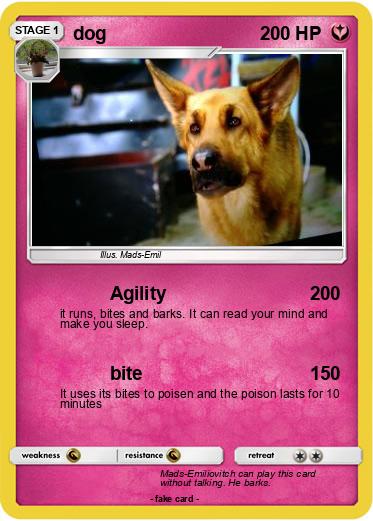 Pokemon dog