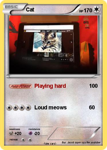 Pokemon Cat