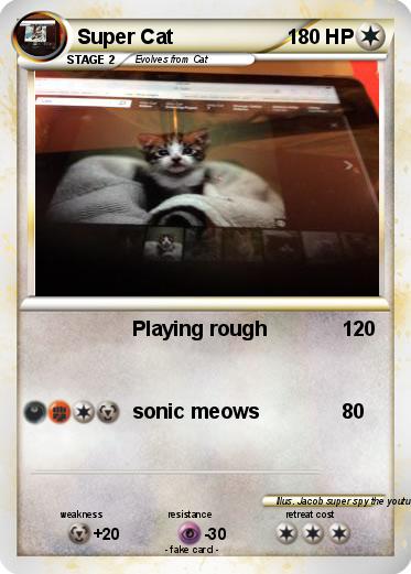 Pokemon Super Cat
