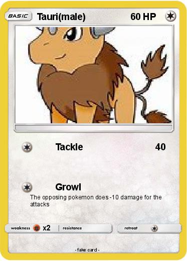 Pokemon Tauri(male)