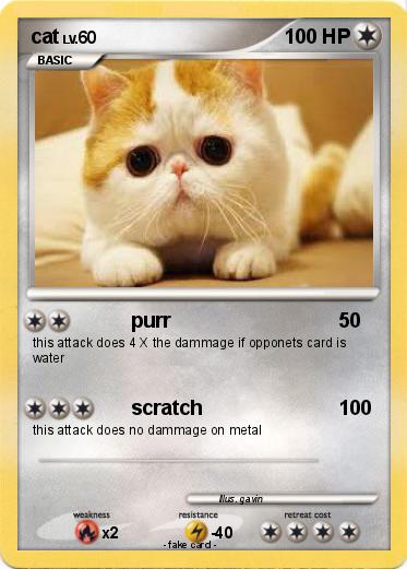 Pokemon cat