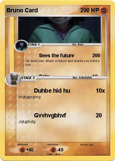 Pokemon Bruno Card