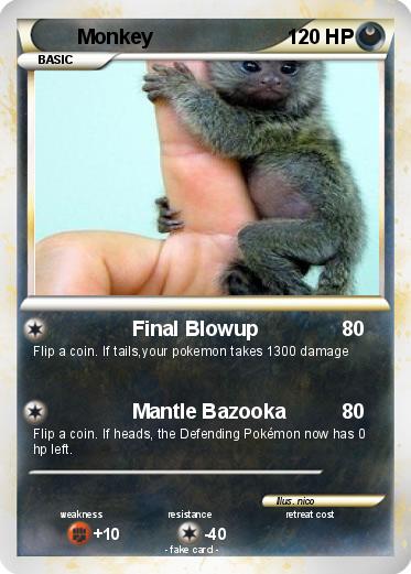 Pokemon Monkey