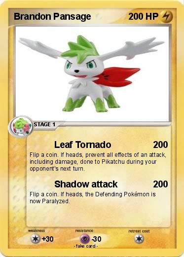 Pokemon Brandon Pansage