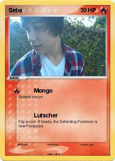 Pokemon Seba