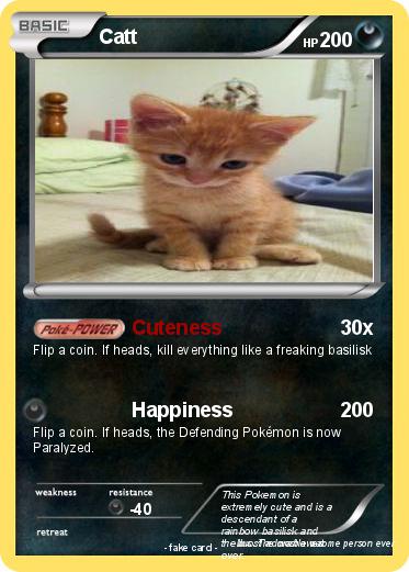 Pokemon Catt