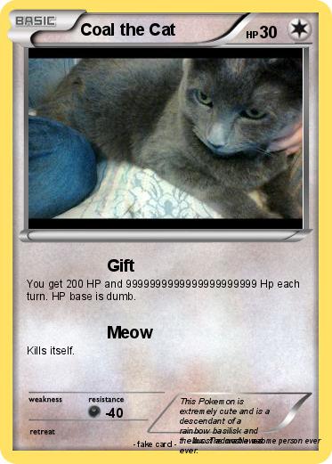 Pokemon Coal the Cat