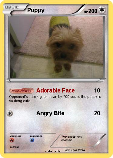 Pokemon Puppy