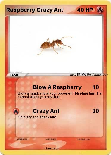 Pokemon Raspberry Crazy Ant