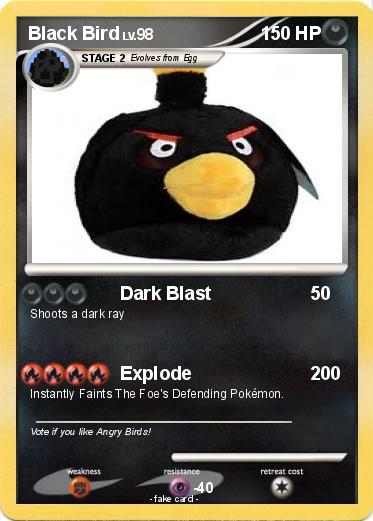 Pokemon Black Bird