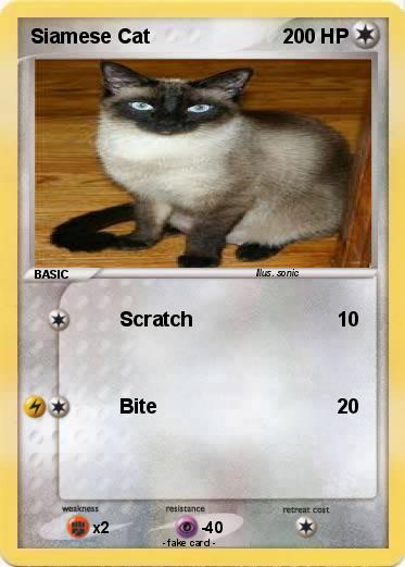 Pokemon Siamese Cat