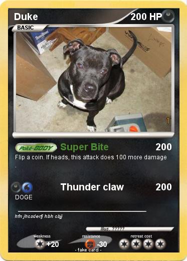 Pokemon Duke