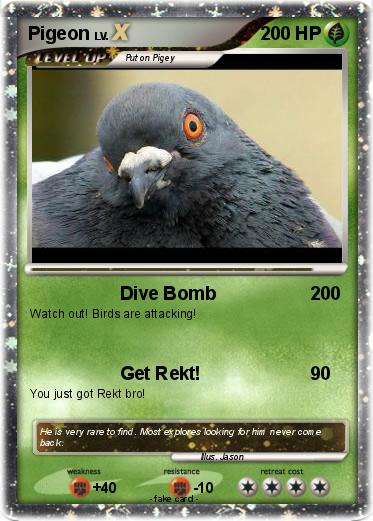 Pokemon Pigeon