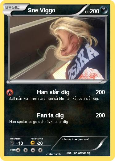 Pokemon Sne Viggo
