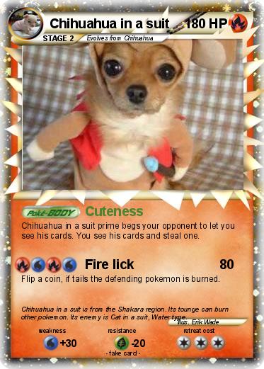 Pokemon Chihuahua in a suit