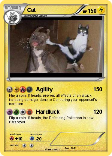 Pokemon Cat