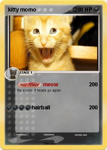 Pokemon kitty momo