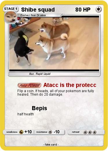 Pokemon Shibe squad