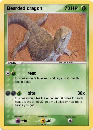Pokemon Bearded dragon
