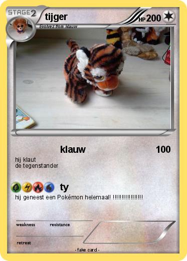 Pokemon tijger