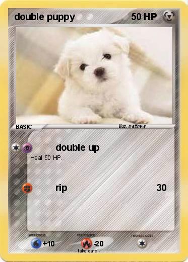 Pokemon double puppy