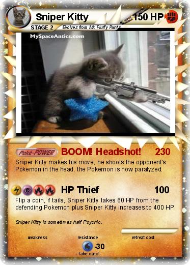 Pokemon Sniper Kitty