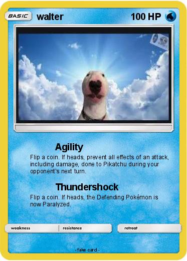 Pokemon walter
