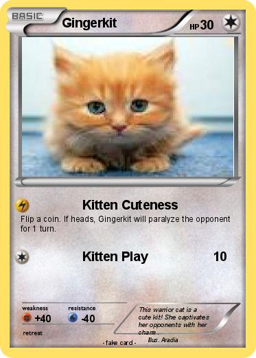Pokemon Gingerkit