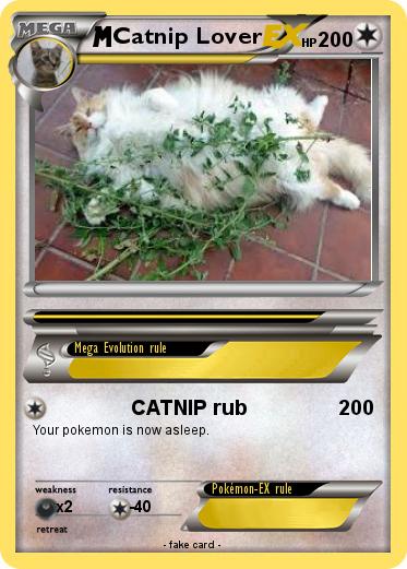 Pokemon Catnip Lover